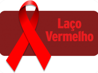 Boletim Laço Vermelho - N° 11 - Novembro 2024