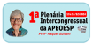 Boletins da 1ª Plenária Intercongressual