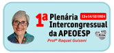 Boletins da 1ª Plenária Intercongressual